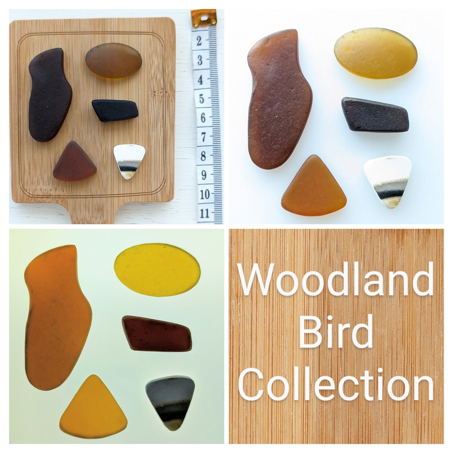 "Woodland Bird": Hand-shaped Edinburgh Sea-Pieces